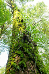 Cuautitl&aacute;n de Garc&iacute;a Barrag&aacute;n