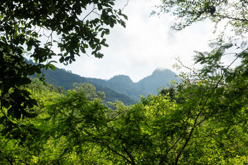 Cuautitlán de García Barragán