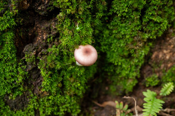 Cuautitl&aacute;n de Garc&iacute;a Barrag&aacute;n