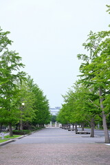 新潟県立スポーツ公園（新潟県）