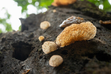 Cuautitl&aacute;n de Garc&iacute;a Barrag&aacute;n