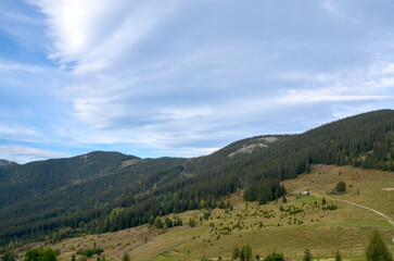 Fototapeta premium Valley with lush green hills and mountains covered in forests and grassy meadows under a cloudy sky. A few small houses are nestled in the valley. Carpathians, Ukraine