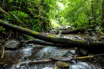 Cuautitl&aacute;n de Garc&iacute;a Barrag&aacute;n