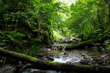 Cuautitl&aacute;n de Garc&iacute;a Barrag&aacute;n