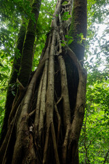 Cuautitl&aacute;n de Garc&iacute;a Barrag&aacute;n