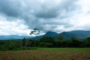 Cuautitl&aacute;n de Garc&iacute;a Barrag&aacute;n