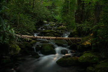 Full Moon Lights The Rushing Water Of Jakes Creek © kellyvandellen
