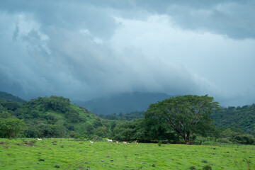 Cuautitl&aacute;n de Garc&iacute;a Barrag&aacute;n