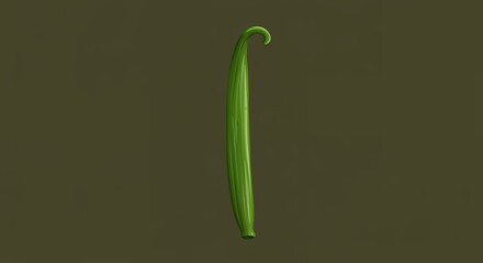 Botanical Vanilla Fruit Graphic