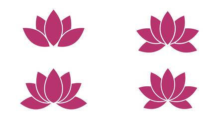 Four pink lotus flowers in different stages of bloom on white background