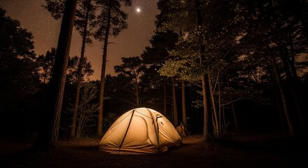Solitude Under the Stars A Luminous Tent in a Quiet Pine Forest at Night.