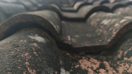 Rustic crusted roof tiles with dry and weathered moss texture, suitable for architectural or...