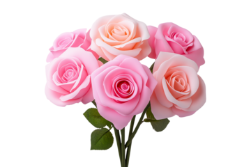 Seven delicate roses are displayed with soft pink and peach hues, showcasing subtle shading and minimalist presentation.