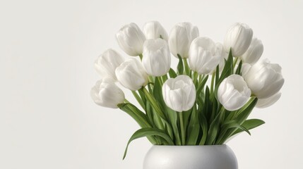 Fototapeta premium White Tulips in Vase