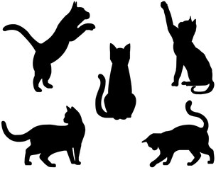 Silhouette_Of_a_Cat_on_a_White_Background