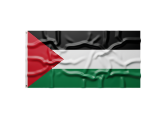 Crinkled palestinian flag isolated on transparent background