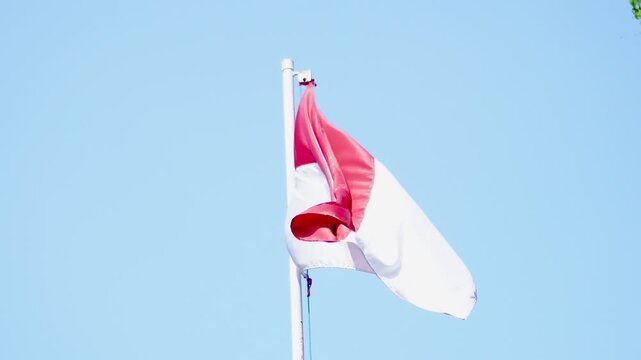 A dynamic video of the Indonesian flag, merah putih, fluttering in the gentle breeze. The vivid red and white colors shine brightly against the wide open blue sky, evoking a sense of independence