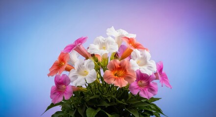 Trumpet flowers in captivating arrangement against a gradient backdrop