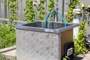 Fototapete bei efototapeten.de bestellen   