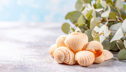Seashells and Eucalyptus: A cluster of delicate seashells with intricate textures nestles alongside a sprig of fresh eucalyptus leaves.