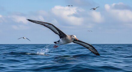 Fototapeta premium Majestic Albatross Soaring Over the Open Ocean, Wings Spread Wide