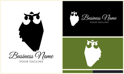 Owl Logo Design Variations. (79)