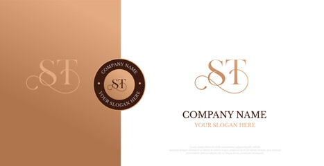 Initial ST Logo Design Vector 