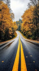 Fototapeta premium Winding road through a vibrant autumn forest