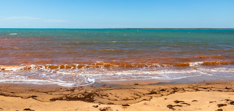 Beautiful beaches bordering the Arafura Sea showing hematite leaching of oxide into the water, Arnhem Land, Australia

