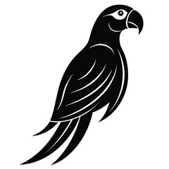 Fototapeta premium Stylized black macaw parrot graphic bird silhouette