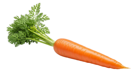 Fresh Orange Carrot Green Top Root Transparent Background