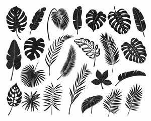 Collection of silhouettes of tropical leaves © MihirKumarMondal
