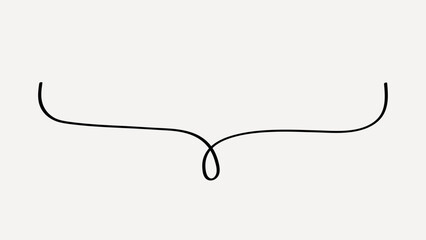 Minimalist elegant decorative flourish vector
