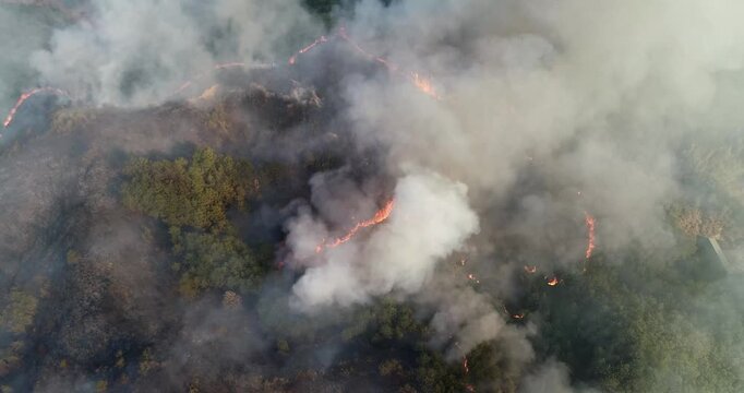 smoke from a fire