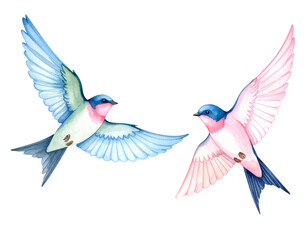 Obraz premium Watercolor Style Swallows Soaring with Soft Pastel Colors, Isolated on White Background