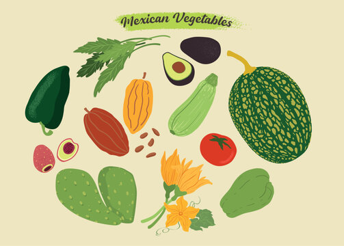 Mexican Vegetables. Healthy organic vegetables. Chilacayote. Poblano chilli. Cacao. Squash. Calabacita Verde. Nopales.  Tomate. Tomatoe. Epazote. Xoconostle. Chayote. Flor de calabaza. Pumpkin flower