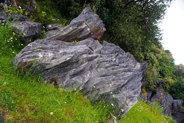 Waro Limestone Scenic Reserve, Hikurangi, New Zealand.