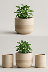 Obraz premium Modern Potted Plants in Neutral-Toned Ceramic Pots with Minimalist Design
