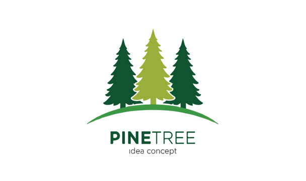 Pine Tree Idea Concept graphic isolated PNG with Transparent Background