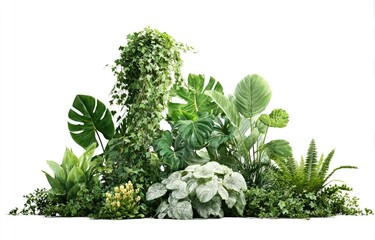 Lush green plants clustered together