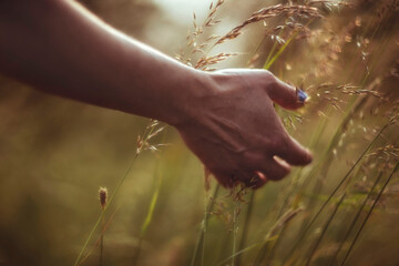 Hand in the grass