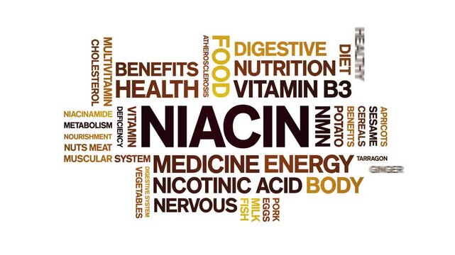 Niacin animated word cloud-text design animation tag kinetic typography seamless loop.