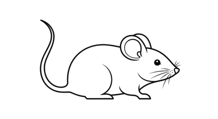 Line art illustration of a mouse isolated PNG with Transparent Background