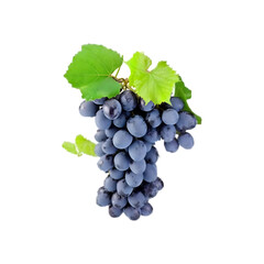 bunch of grapes isolated on white background