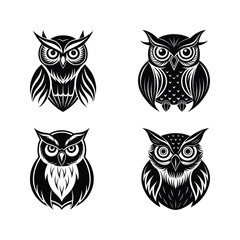 Black whit silhouette owl ainimal design