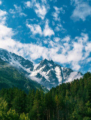 Snow-capped Caucasus mountain peaks rise above lush green forests under a vibrant blue sky during a sunny day in the mountains