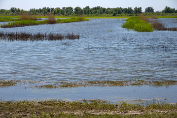 Spring flood on the Akhtuba River