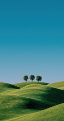 Three trees atop rolling hills of vibrant green grass under a clear, bright blue sky