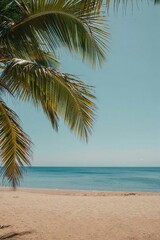 Obraz premium Beach Background Tropical Beach Paradise Palm Fronds Frame Ocean and Sandy Shore