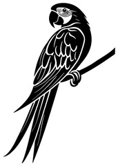 Silhouette of macaw bird